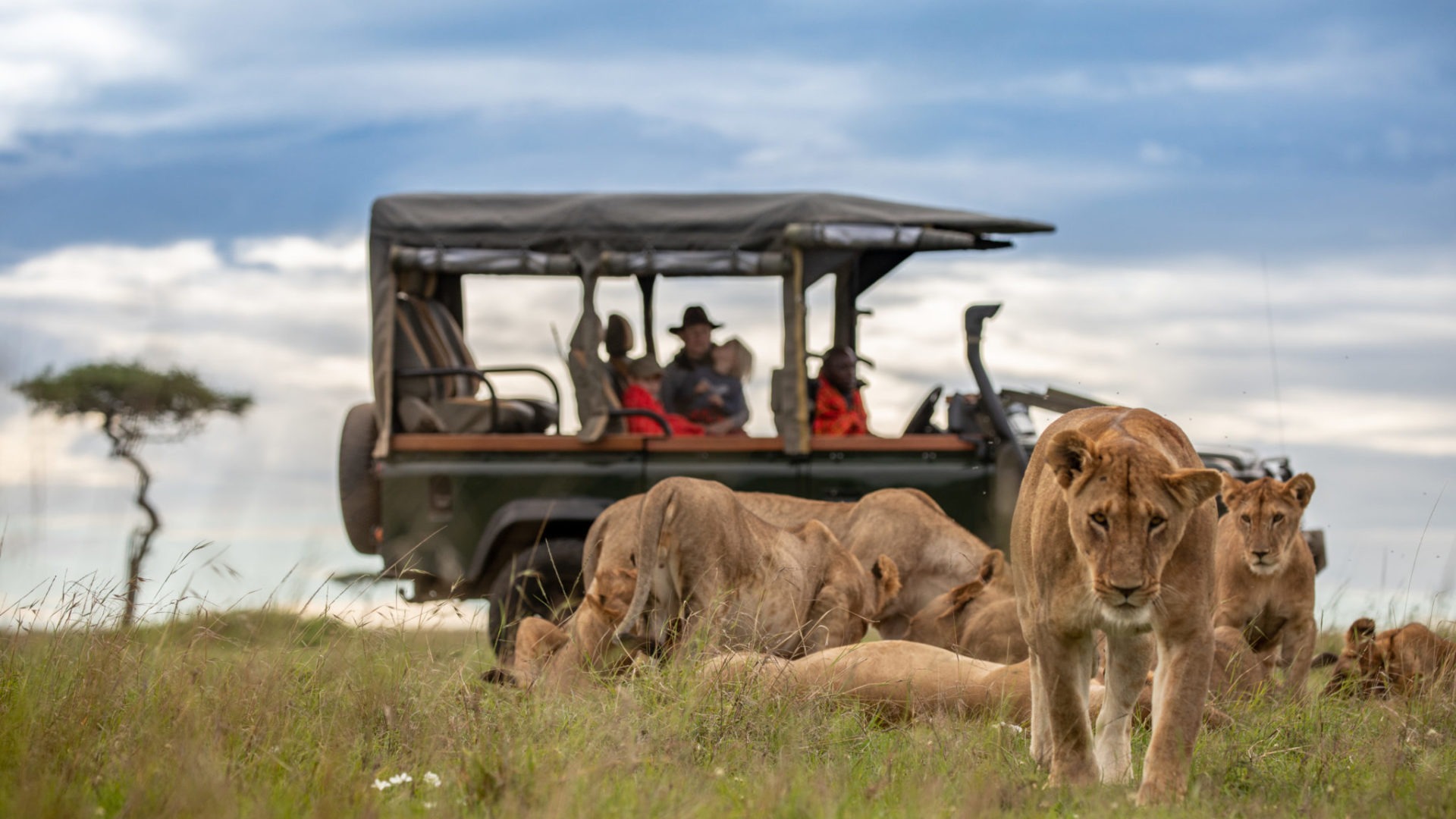 Kenya Safari Tours Package