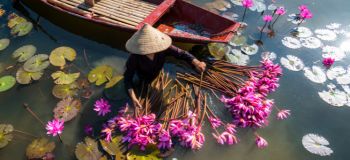 Vietnam Image