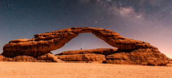Alula image