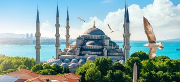Turkey image